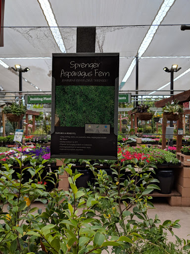 Hardware Store «Orchard Supply Hardware», reviews and photos, 900 El Camino Real, Millbrae, CA 94030, USA