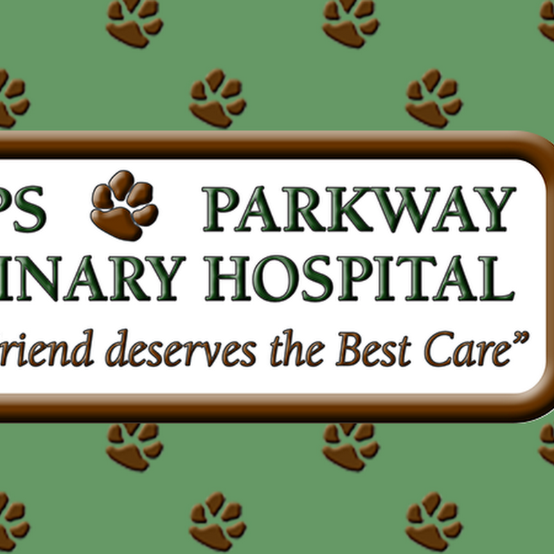 Scripps Parkway Veterinary Hospital