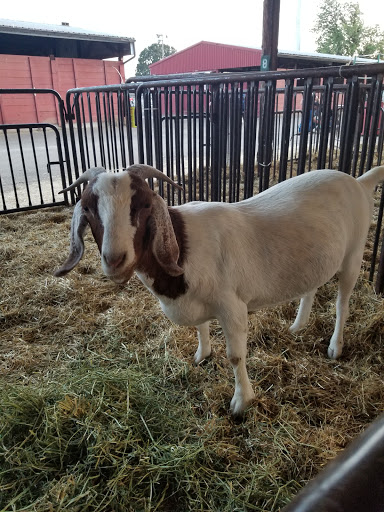 Fairground «Benton County Fairgrounds», reviews and photos, 110 SW 53rd St, Corvallis, OR 97333, USA