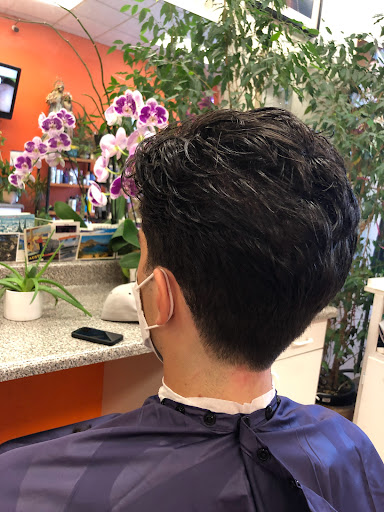 Hair Salon «University Hair Care», reviews and photos, 1444 University Ave, Berkeley, CA 94702, USA