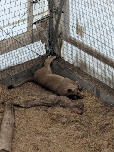 History Museum «History Colorado Center», reviews and photos, 1200 Broadway, Denver, CO 80203, USA