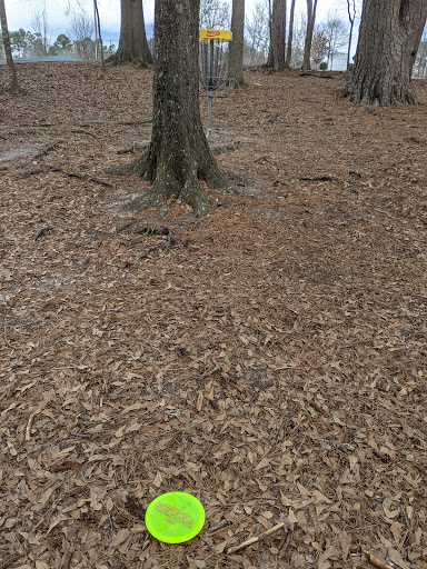 Golf Course «Wills Park Disc Golf Course», reviews and photos, 454 Wills Rd, Alpharetta, GA 30004, USA