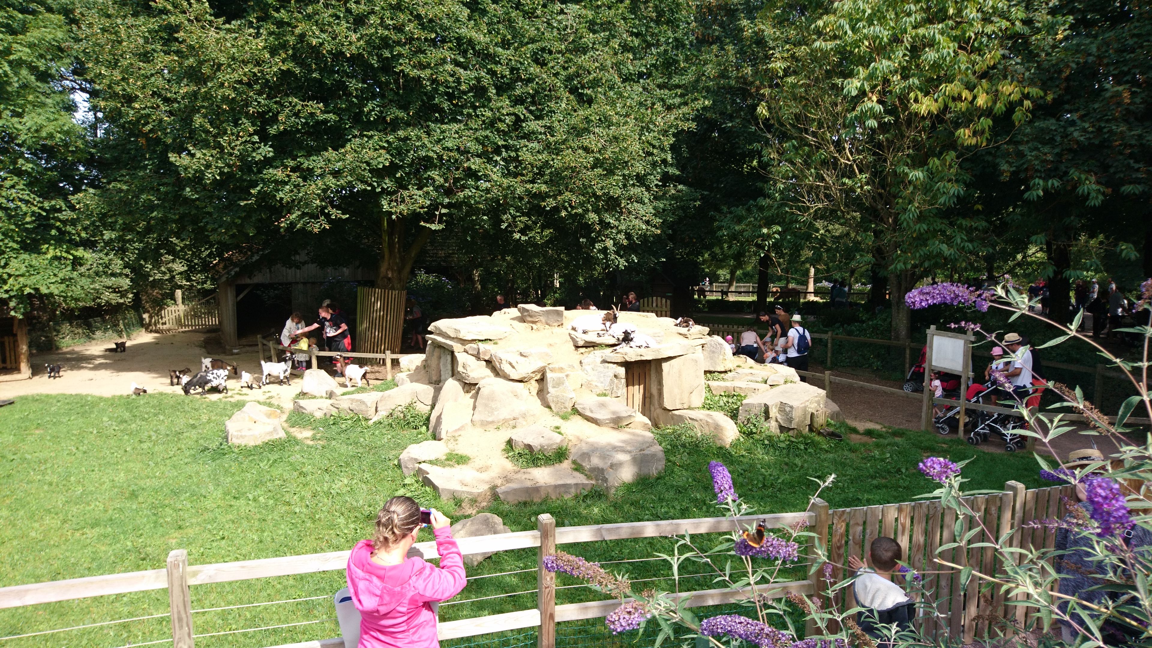 Photo n° 9 de l'avis de Philippe.e fait le 07/08/2017 à 14:04