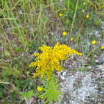 Photo n°19 de l'avis de Matteo.i fait le 07/08/2021 à 13:55 sur le  Hotel Baita à Malborghetto Valbruna