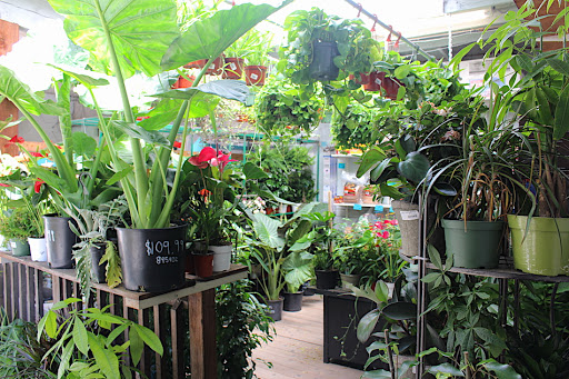 Hardware Store «Goodman Building Sply Co», reviews and photos, 775 Redwood Hwy, Mill Valley, CA 94941, USA