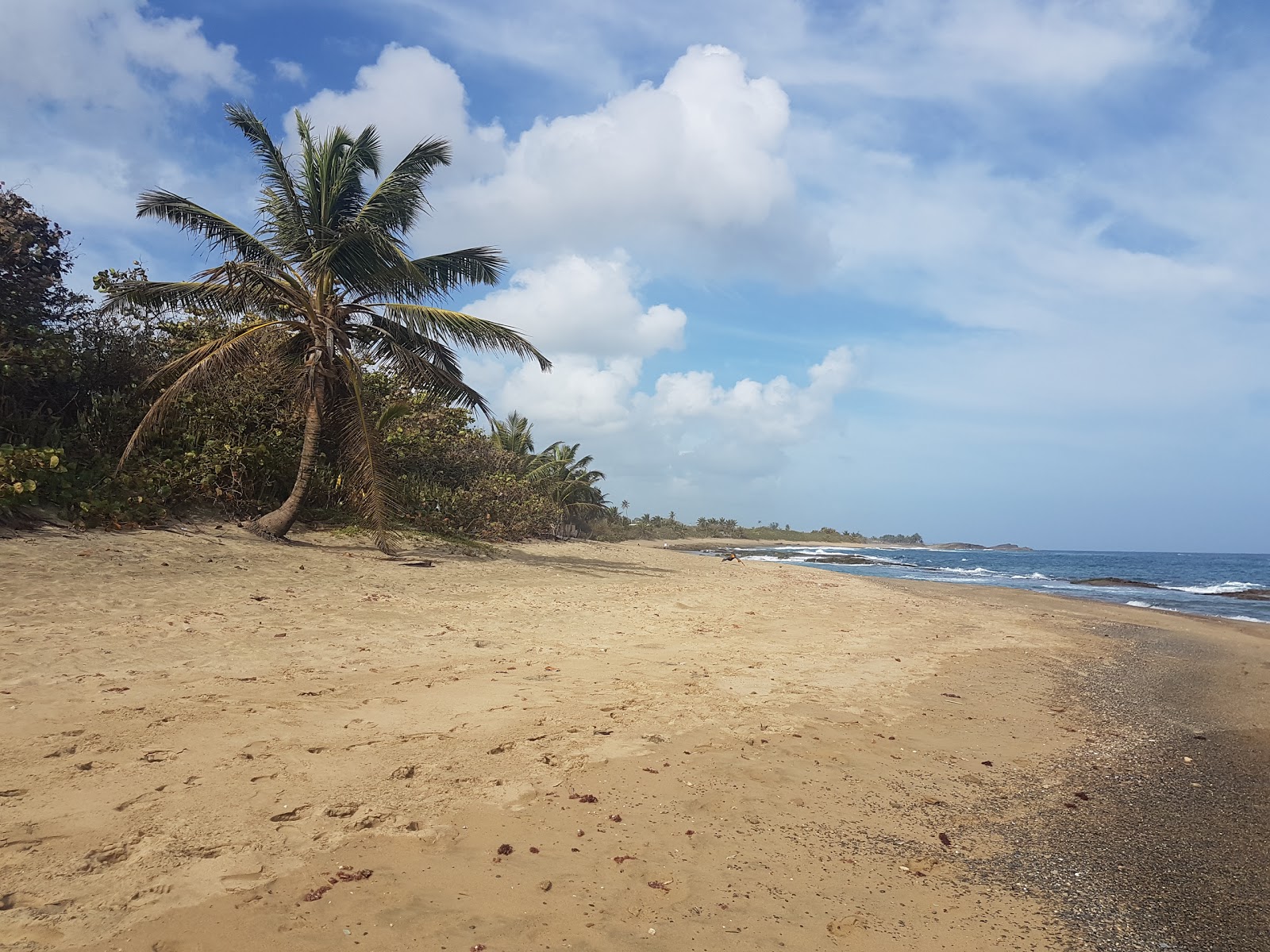 Los Pinos beach'in fotoğrafı - rahatlamayı sevenler arasında popüler bir yer