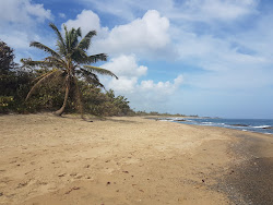 Los Pinos beach'in fotoğrafı - rahatlamayı sevenler arasında popüler bir yer