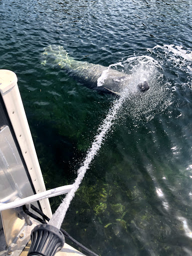 Country Club «Ocean Reef Club», reviews and photos, 35 Ocean Reef Dr, Key Largo, FL 33037, USA