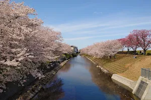 Akasakaizumi Park image