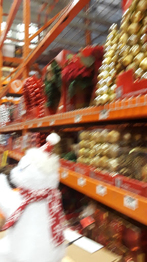 Home Improvement Store «The Home Depot», reviews and photos, 1524 E Brandon Blvd, Brandon, FL 33511, USA