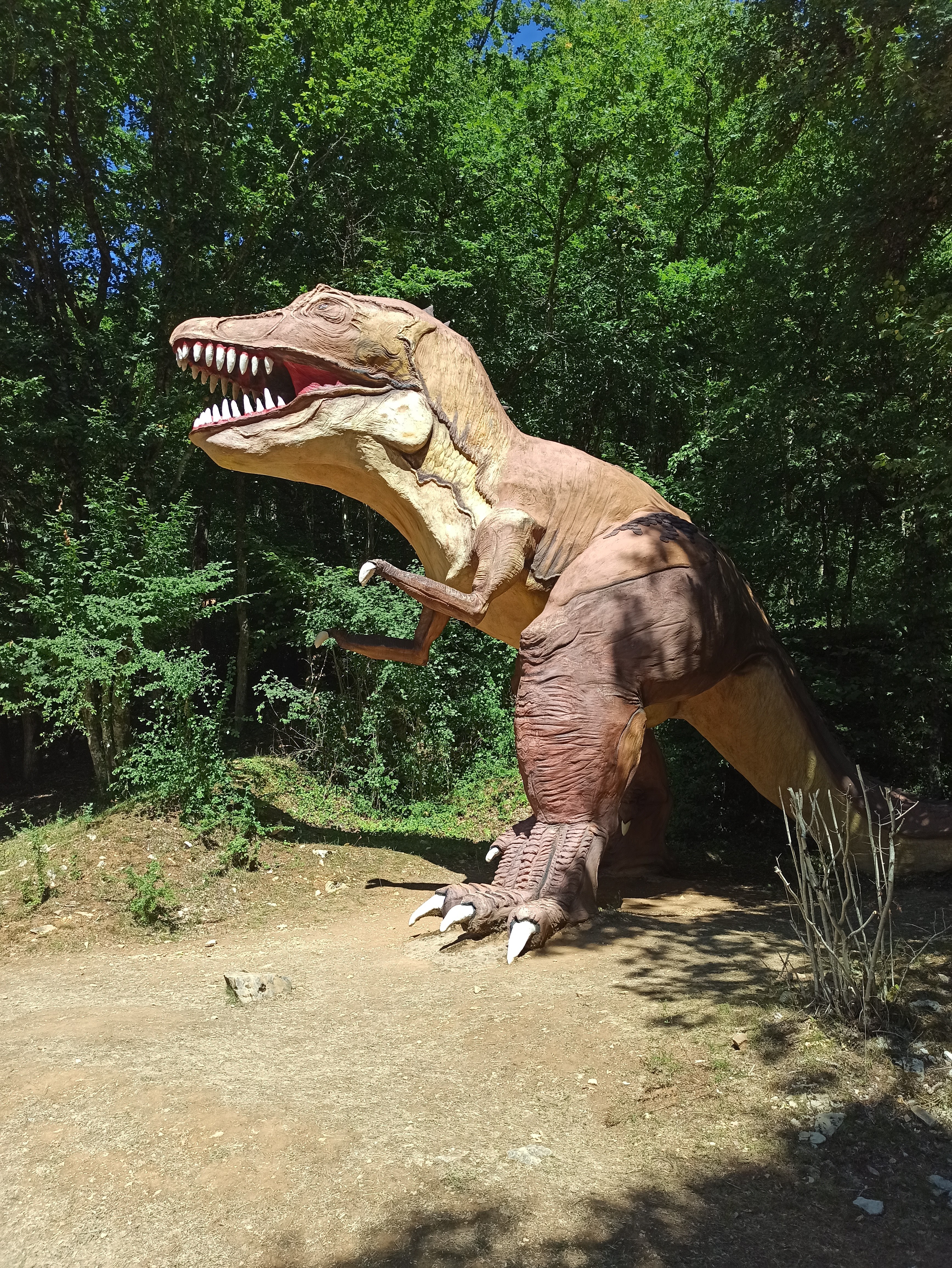 Photo n° 1 de l'avis de Virginie.a fait le 04/08/2022 à 05:01