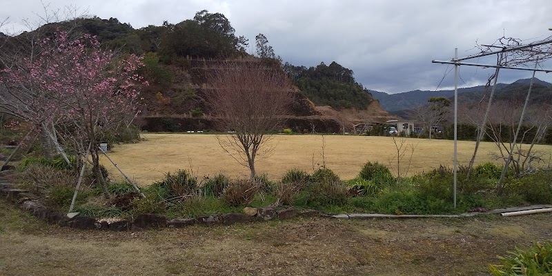 美桜公園