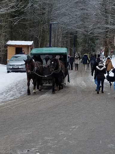 Drug Store «Walgreens», reviews and photos, 750 E 120th Ave, Northglenn, CO 80233, USA