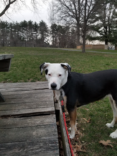 Farm «Pequitside Farm», reviews and photos, 79 Pleasant St, Canton, MA 02021, USA