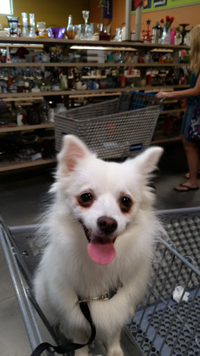 Thrift Store «Goodwill», reviews and photos, 2245 Coastal Lane, West Melbourne, FL 32904, USA