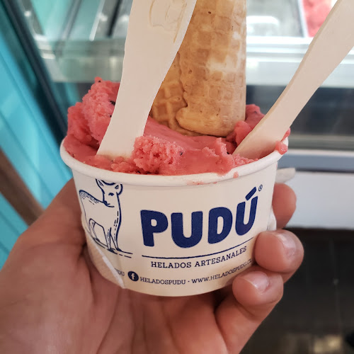 Helados Pudú - Puerto Varas