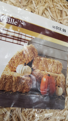 Craft Store «Michaels», reviews and photos, 9856 W Broad St, Glen Allen, VA 23060, USA