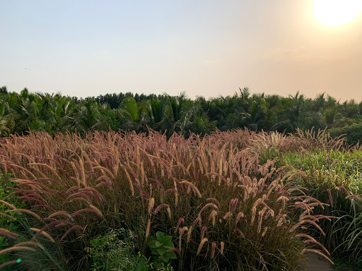 منطقة برية صحراوية 