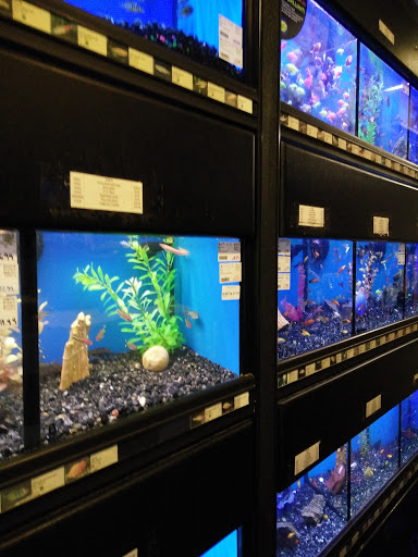 Pet Store «Pets Plus Inc», reviews and photos, 2610 Jefferson Davis Hwy, Stafford, VA 22554, USA