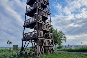 Observation tower Cow Mountain image