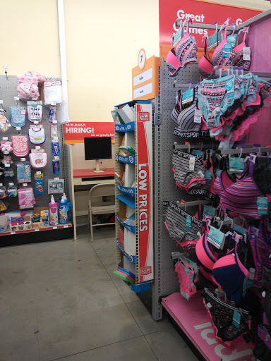 Dollar Store «FAMILY DOLLAR», reviews and photos, 225 S Lake Shore Way, Lake Alfred, FL 33850, USA