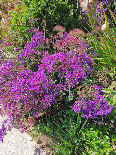 Opinii despre Greenmax, mantenimiento de jardines, Santiago, Chile în Conchalí - Centro de jardinería