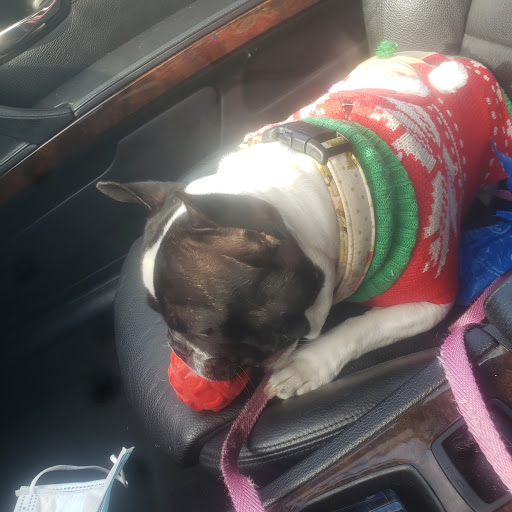 Pet Supply Store «Petco Animal Supplies», reviews and photos, 1815 Newport Blvd b, Costa Mesa, CA 92627, USA