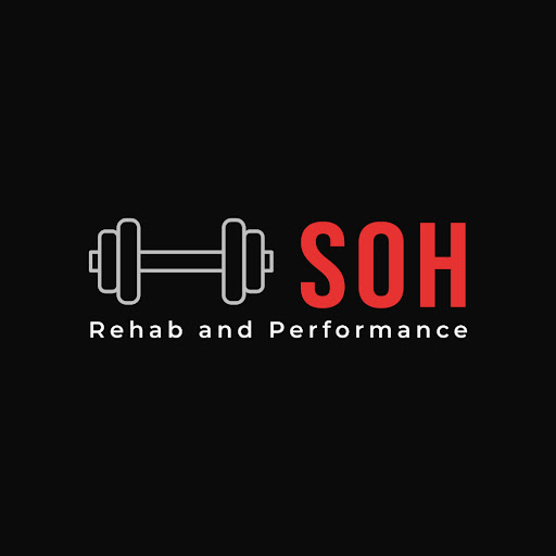 SOH Rehab and Performance