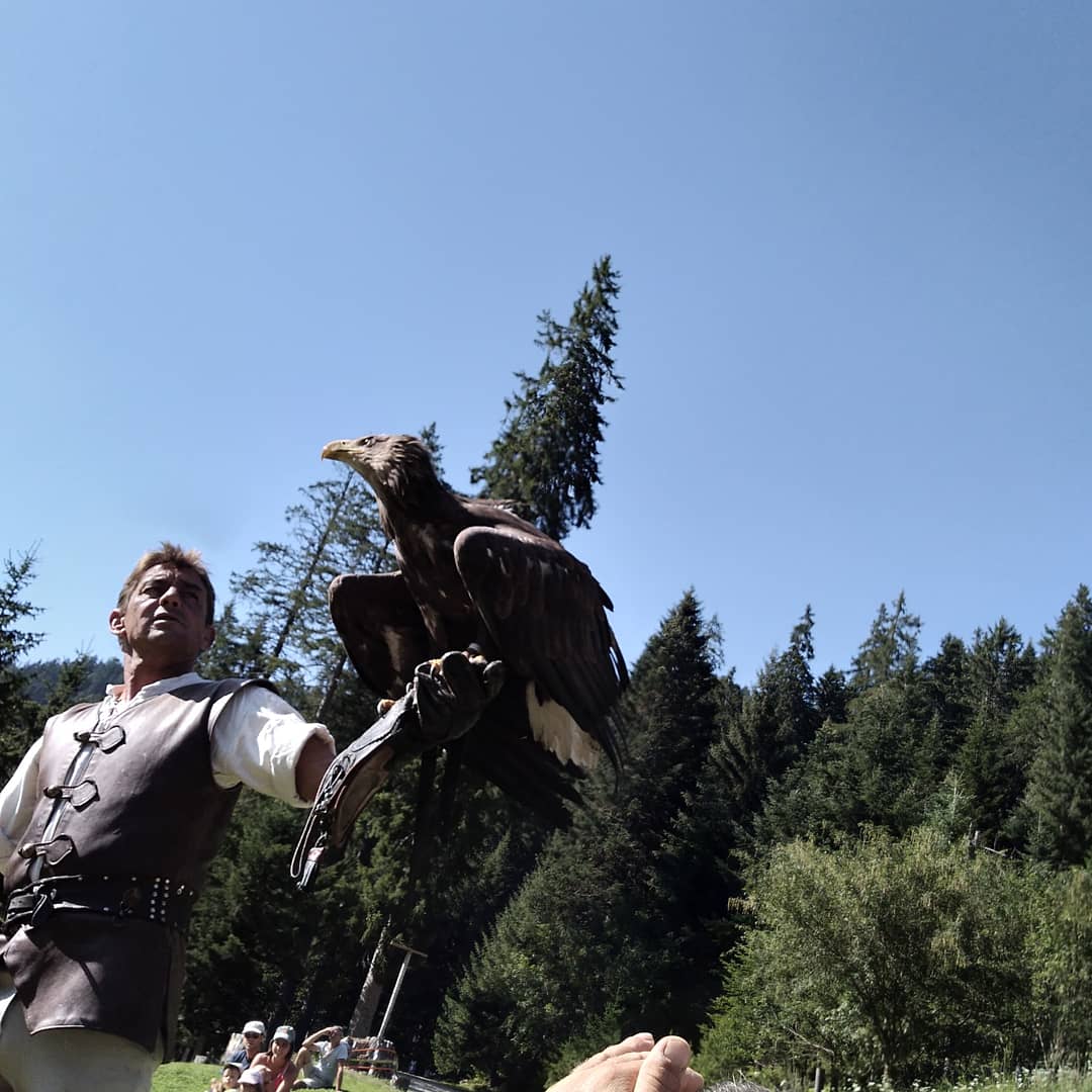 Photo n° 1 de l'avis de Cm.o fait le 16/08/2018 à 11:15