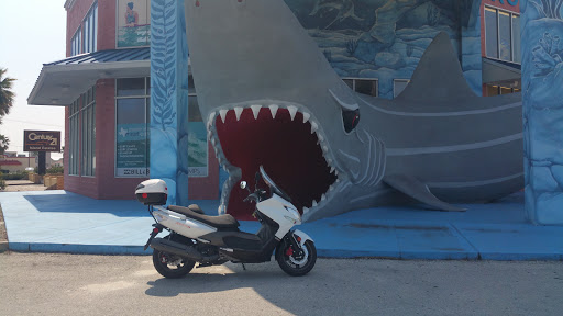 Motor Scooter Dealer «The Motorcycle Shop/ Vespa San Antonio», reviews and photos, 2423 Austin Hwy, San Antonio, TX 78218, USA