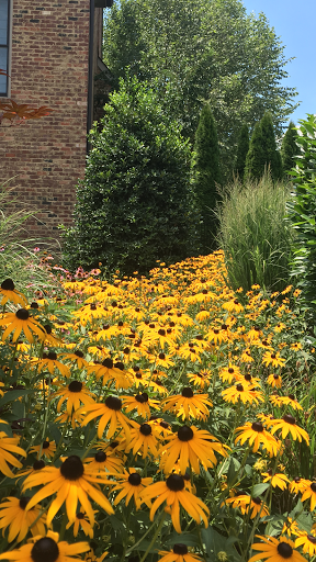 Landscaper «Niedergeses Landscape LLC», reviews and photos, 2443 Park Plus Dr, Columbia, TN 38401, USA