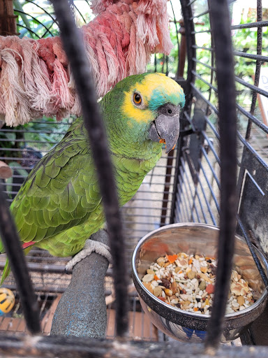 Wholesale Plant Nursery «Galloway Farm Nursery Inc.», reviews and photos, 7790 SW 87th Ave, Miami, FL 33173, USA