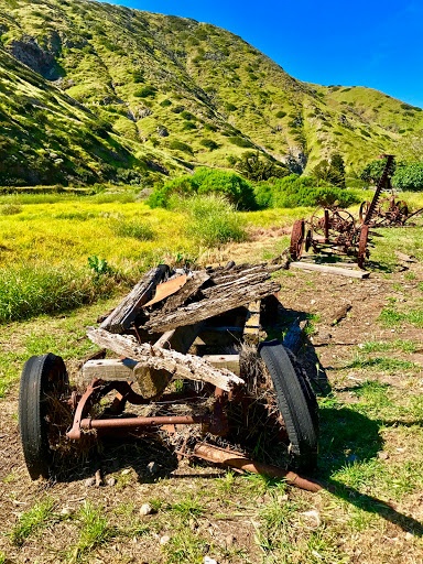 National Park «Channel Islands National Park», reviews and photos