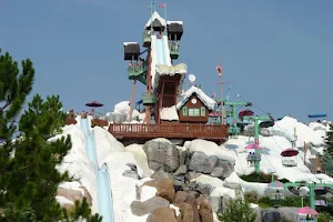 Disney's Blizzard Beach Water Park image