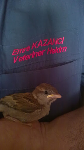 Emre Veteriner Kliniği