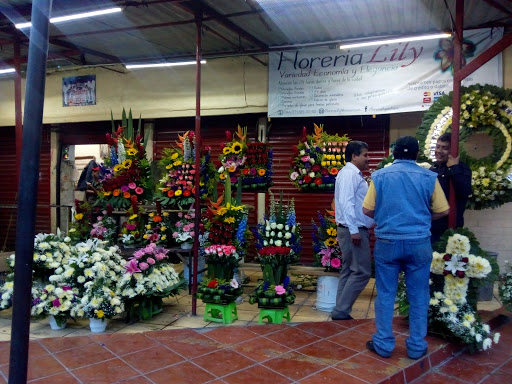 Florería Lily – Pachuca