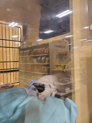 Pet Supply Store «PetSmart», reviews and photos, 358 Broadway, Saugus, MA 01906, USA