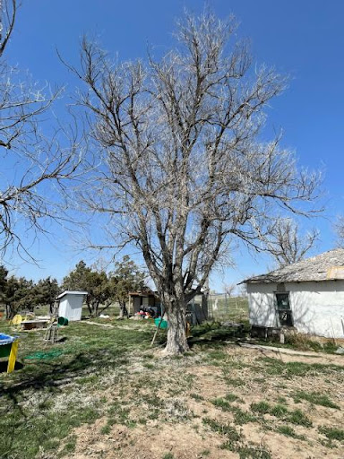 971 Hilton Heights Rd, Charlottesville, VA 22901, USA