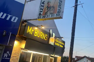 Mr.Burn's image