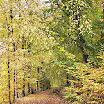 Photo n°9 de l'avis de Iryna.a fait le 25/10/2022 à 10:06 sur le  Gutshaus von Bismarck GbR à An der Schmück