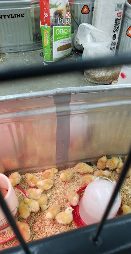 Home Improvement Store «Tractor Supply Co.», reviews and photos, 8800 Brentwood Blvd, Brentwood, CA 94513, USA