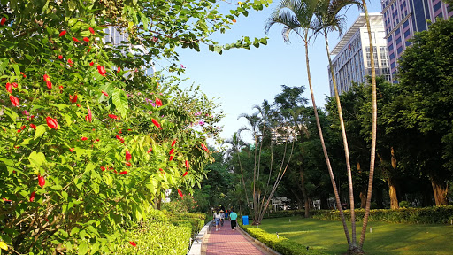 Dr. Carlos d'Assumpção Park