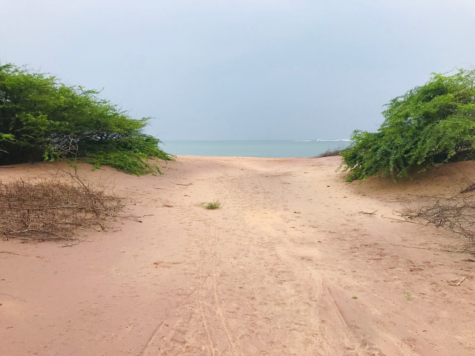 Fotografija Thoppuvilai Beach divje območje