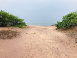 Zdjęcie Thoppuvilai Beach dziki obszar