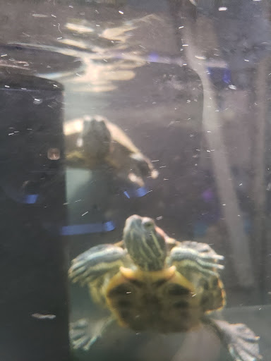 Pet Supply Store «Petco Animal Supplies», reviews and photos, 240 Upland Square Dr, Stowe, PA 19464, USA