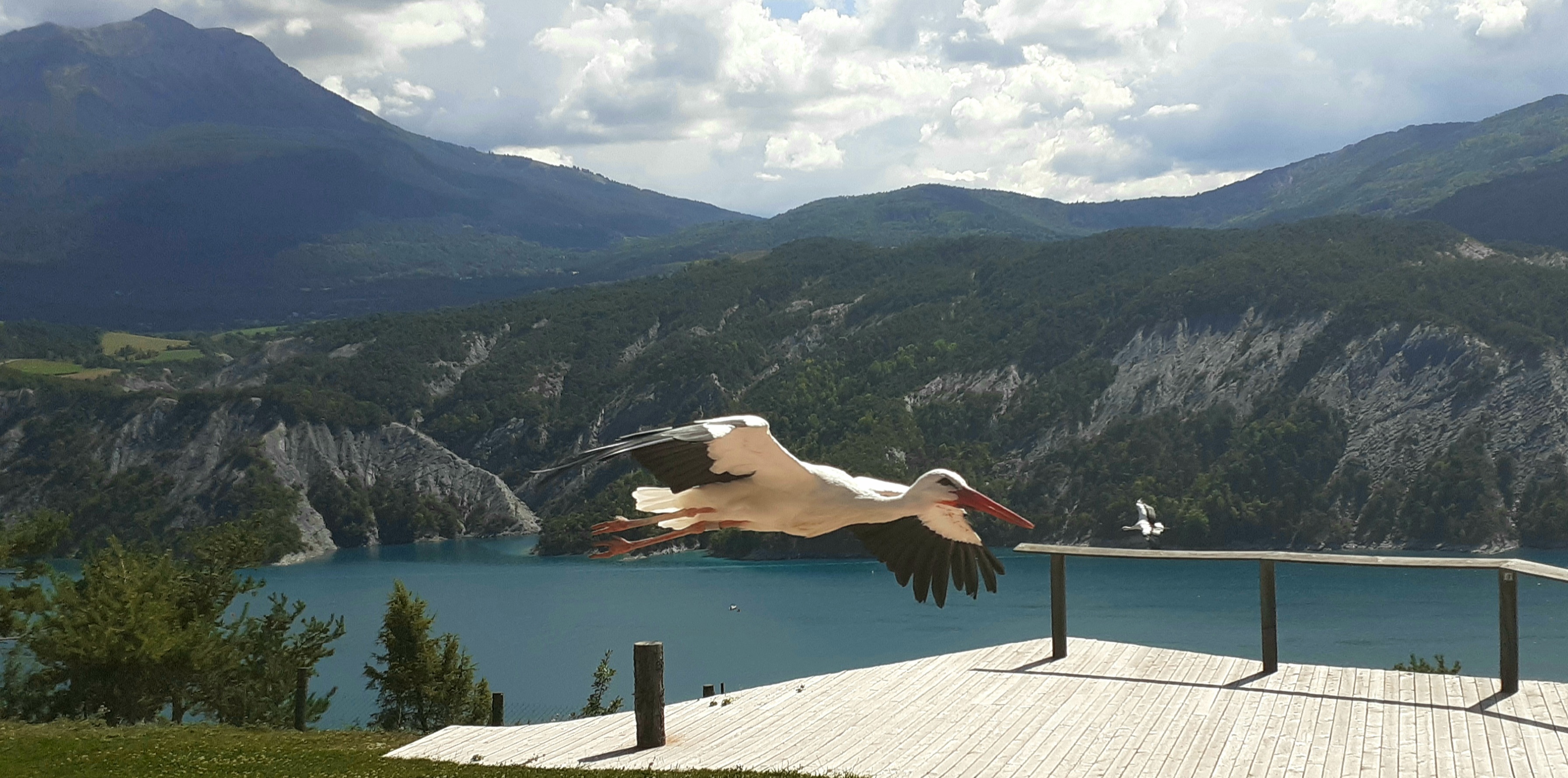 Photo n° 4 de l'avis de Pink.i fait le 06/09/2021 à 16:33