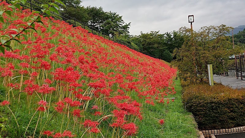 南足柄市運動公園