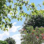 Photo n°3 de l'avis de ELISA.A fait le 12/06/2023 à 07:03 sur le  La Gemma à Casier