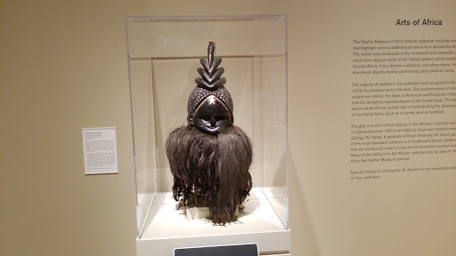 Art Museum «Nasher Museum of Art», reviews and photos, 2001 Campus Dr, Durham, NC 27705, USA