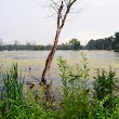 Wilbeth Road Trailhead